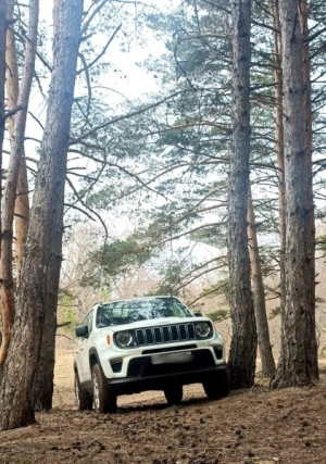 Jeep Renagade